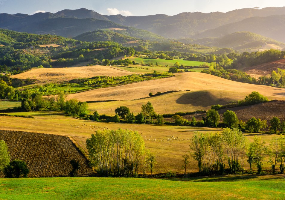 Mugello